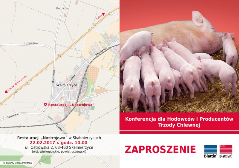 zaproszenie skalmierzyce 2017-01