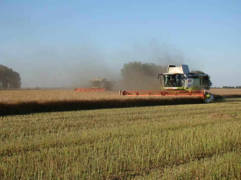 Claas Lexion 760tt & 770