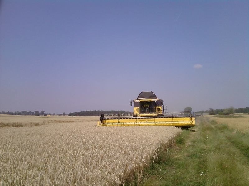 New Holland CR9080