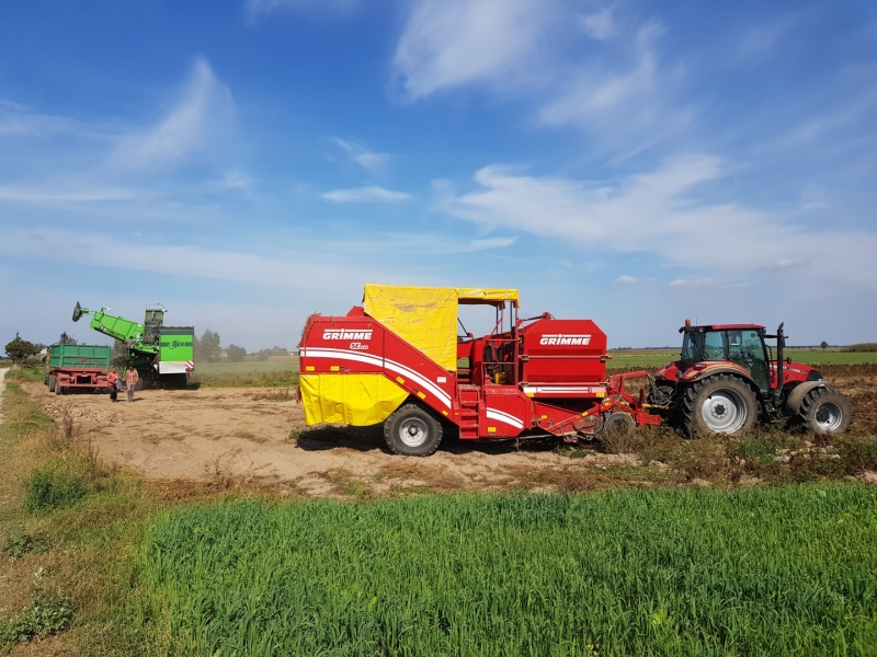 Grimme SE 140 i AVR Spirit 6200