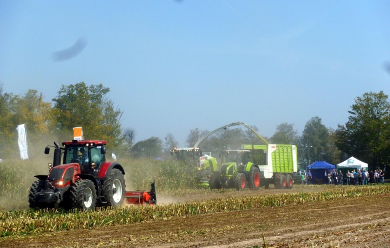 Podlaski dzień kukurydzy Szepietowo 2014