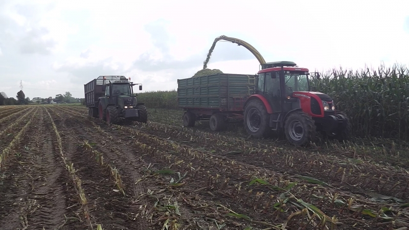 Zetor + Biafamar & Fendt 312 + T088