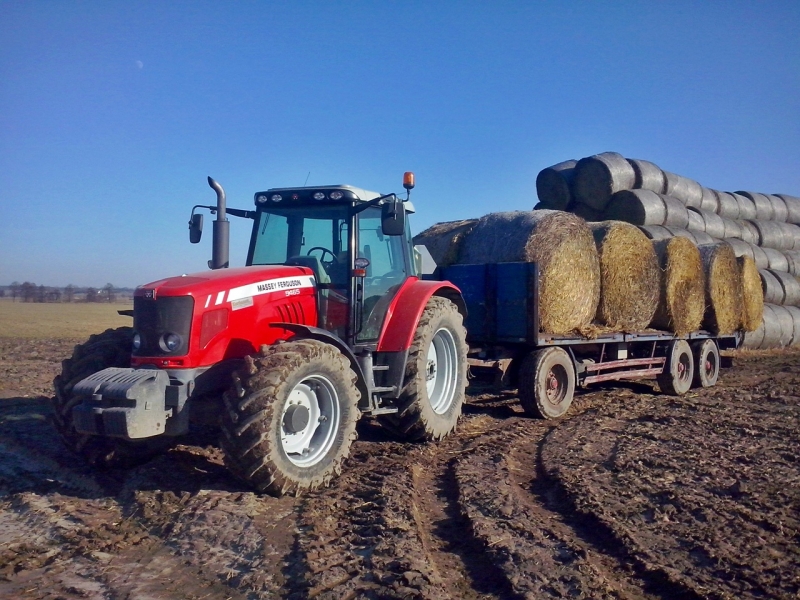 Massey Ferguson 5465