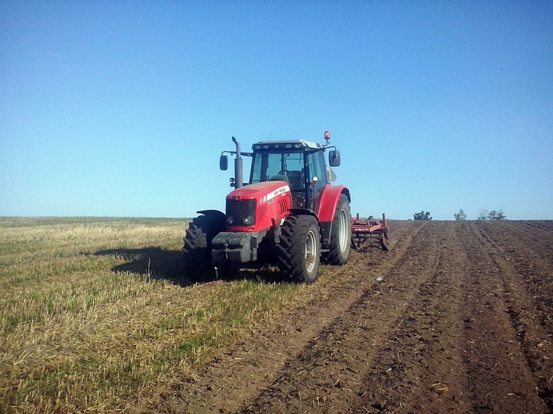 Massey Ferguson 5465 + Expom Ajax