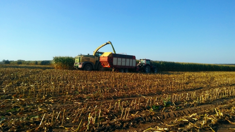 Krone BIG X 480 & Valtra N111 + Strautmann Super Vitese