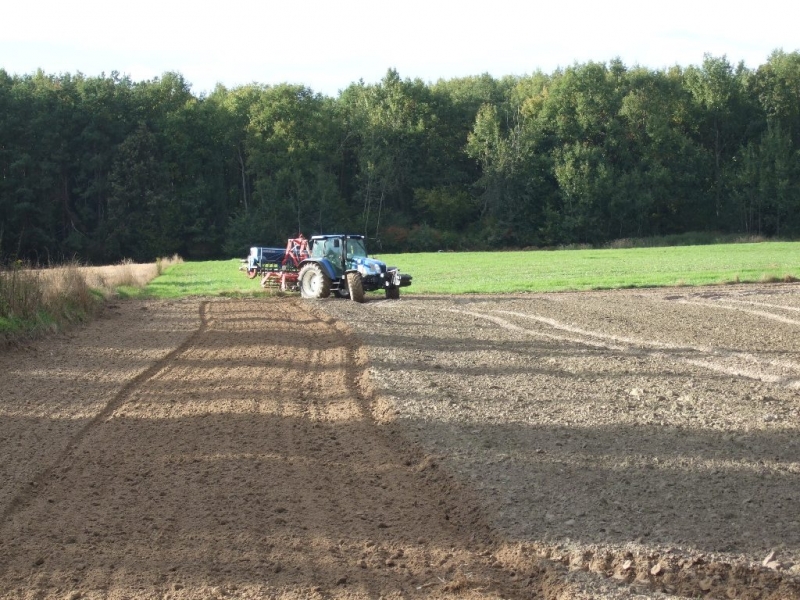 New Holland T5060