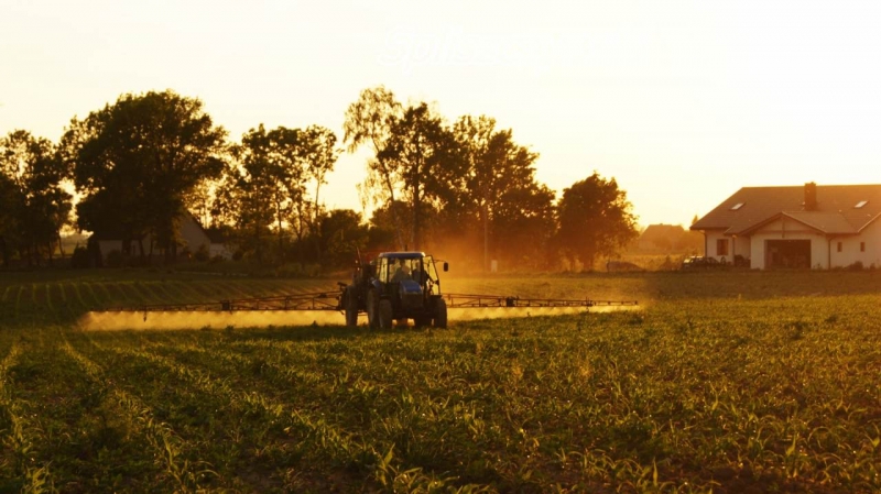 New Holland TD600 + Krukowiak Goliat / Spliszczynski \