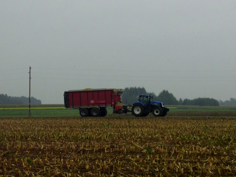 New Holland T7040 + Lely Tigo 70RD