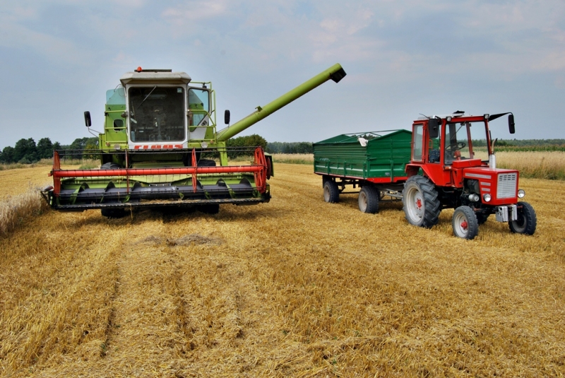 Claas Dominator 96 & Wladimirec T-25A + Kroger