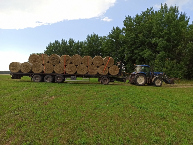 New Holland T 6020 + naczepa