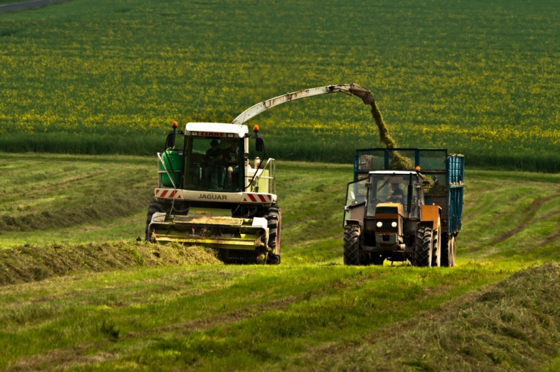 Claas Jaguar 890 i Ursus 1224