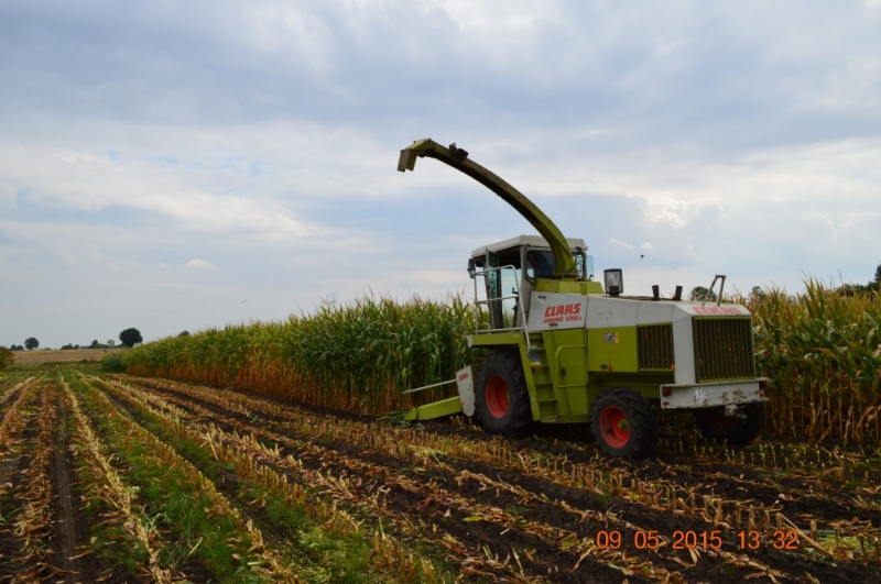 Claas Jaguar 690