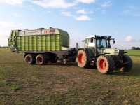 Fendt 515c + Claas Quantum 5500s