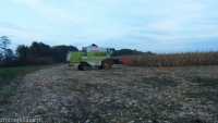 Claas Dominator 108 Sl Maxi +Geringhoff(6 rzędów)