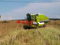 Claas Dominator 85