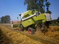 Claas Avero 160