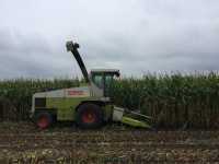 Claas Jaguar 690 sl