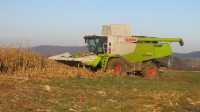 Claas Lexion 650.