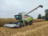 Claas Lexion 570 Dominoni 8