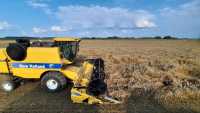 New Holland TC 5040