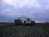 Krone Big X650