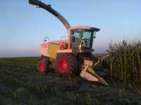 Claas Jaguar 860