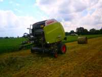 Claas variant