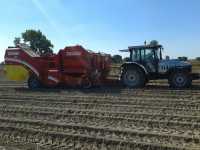 Lamborghini 1060 Premium + GRIMME SE 140