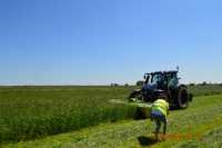 Zielone Agro show Ułęż