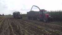 Zetor + Biafamar & Fendt 312 + T088