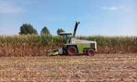 Claas Jaguar 690