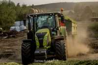 Claas Arion