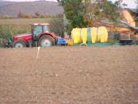 Massey Ferguson