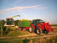 MF5435 + Pronar 8t & Claas Jaguar 690 sl