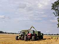 Massey Ferguson + 2 Przyczepy & Hurlimann H 6190 + Przyczepa przeładowcza