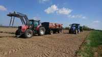 Massey Ferguson 8120, New Holland T5.95