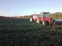 MF 3080 & Hardi Comander 2800 Plus