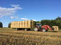 Massey Ferguson 5435 & przyczepa