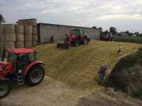 Massey Ferguson x2 & Fortepian