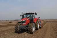 Pokazy Massey Ferguson, Grzebsk