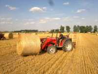 Massey Ferguson 2415