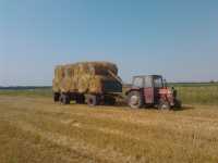 Massey Ferguson 255 + Autosan d-83