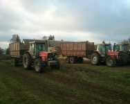 Massey Ferguson x3