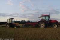 Zetor Proxima 8441 & Expom