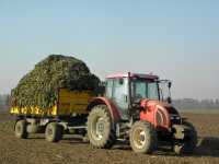 Zetor Forterra 9641 i Wielton PRS-2/W8