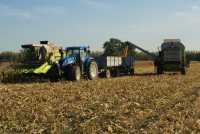 New Holland  T7030 AC  &  Claas dominator Maxi 118 + Domminator 108 classic