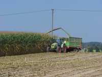 Claas Celtis + tandem 6t