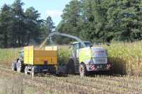 Claas Jaguar 930 & Landini i Wielton