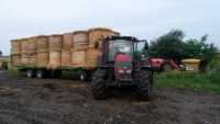 Valtra N82 + Pronar T023