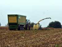 JD i Krone TX 560 & Krone Big X 1100